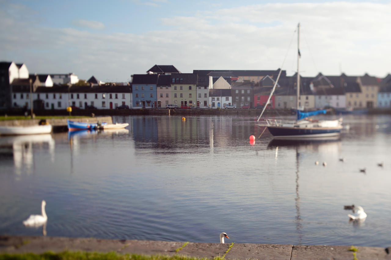 The Herons Rest Townhouse B&B Galway Habitación foto