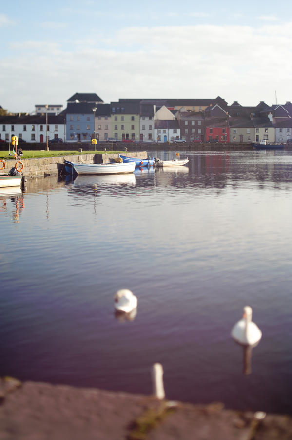 The Herons Rest Townhouse B&B Galway Habitación foto